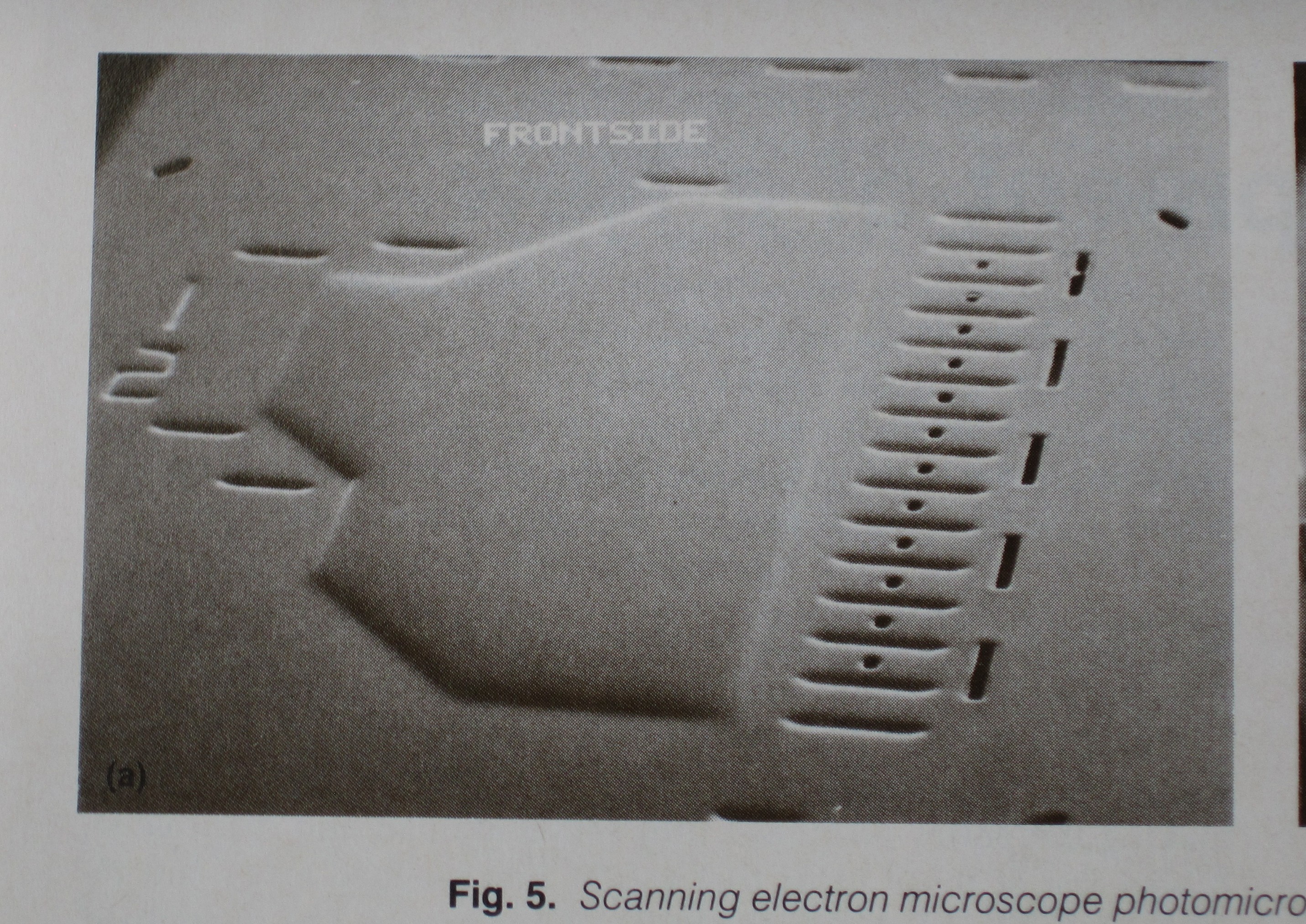 orifice_SEM.JPG